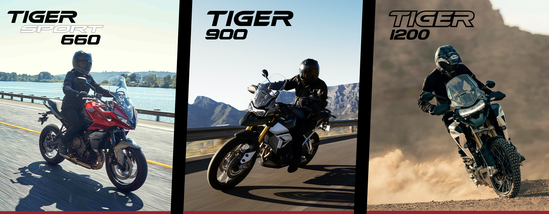 Banner - Moto Tiger